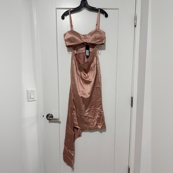 NWT LEXI PIPER DRESS PINK SIZE 6 MIDI - Picture 1 of 13